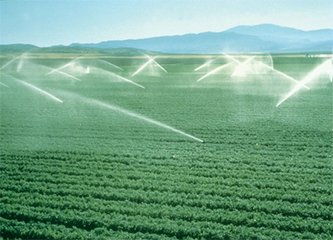 农业灌溉公司取名大全 三个字的农业公司取名